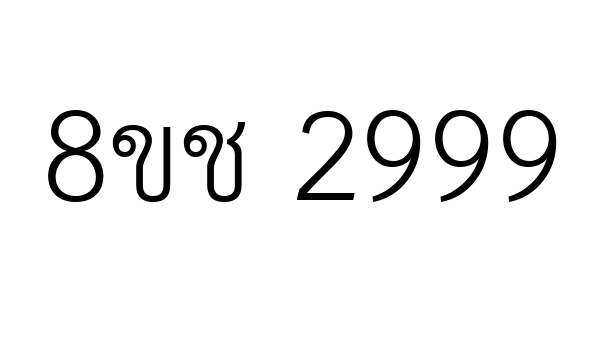 8ขช 2999